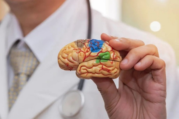 Microplastics can potentially lead to neurological disorders Microplastics can potentially lead to neurological disorders