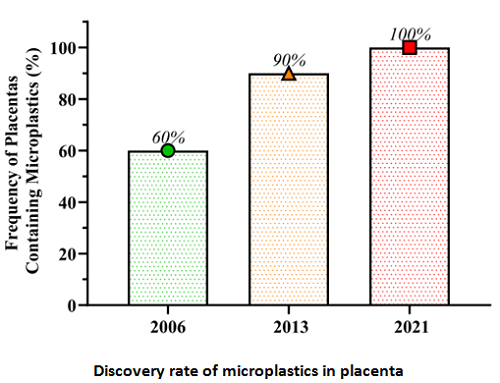100% detection rate of microplastics in human placenta