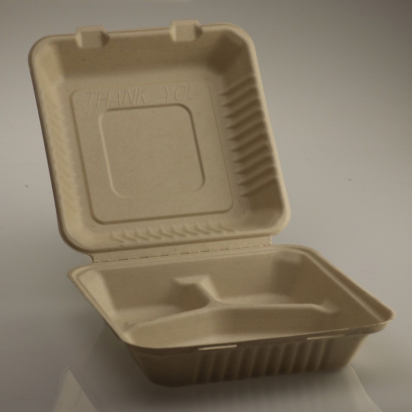 Biodegradable Disposable Lunch Boxes 