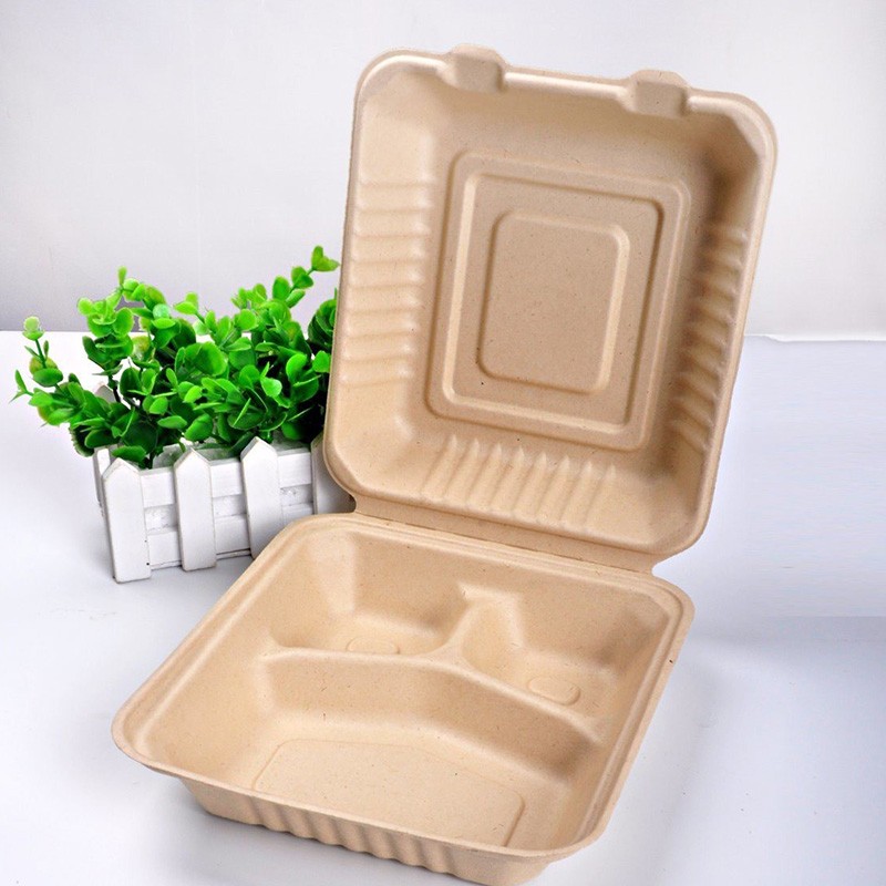 Pva water biodegradable lunch boxes
