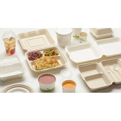 Plastic-Free Lunch Boxes